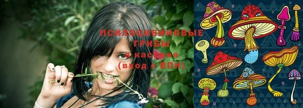 твердый Бронницы