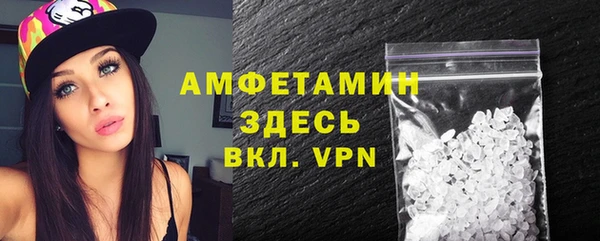 гидра Богородицк