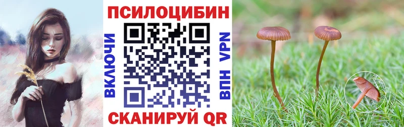Галлюциногенные грибы прущие грибы  цены   блэк спрут ONION  Свободный 